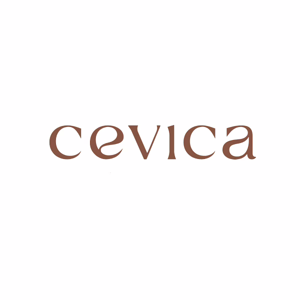 cevica logo normal def